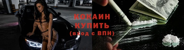 гашик Богданович