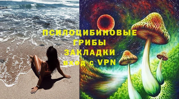 сатива Пролетарск