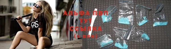 гашик Богданович