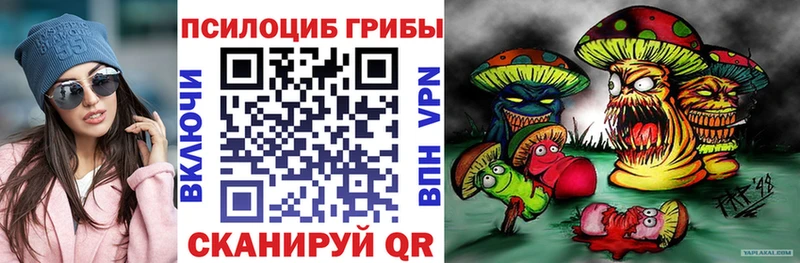 купить наркотики сайты  Хвалынск  Галлюциногенные грибы Psilocybe 